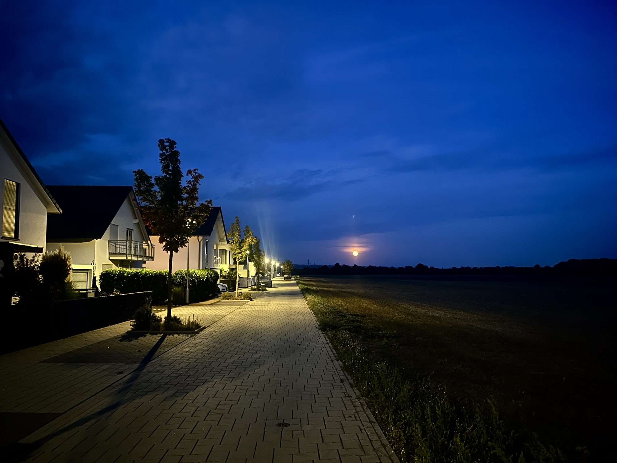 Big moon nighttime walk
